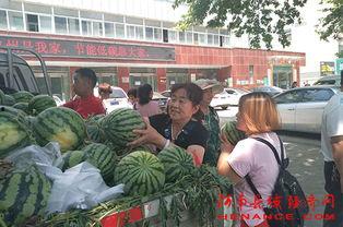 千佛山娱乐团队吃瓜群众,吃瓜群众揭秘幕后故事